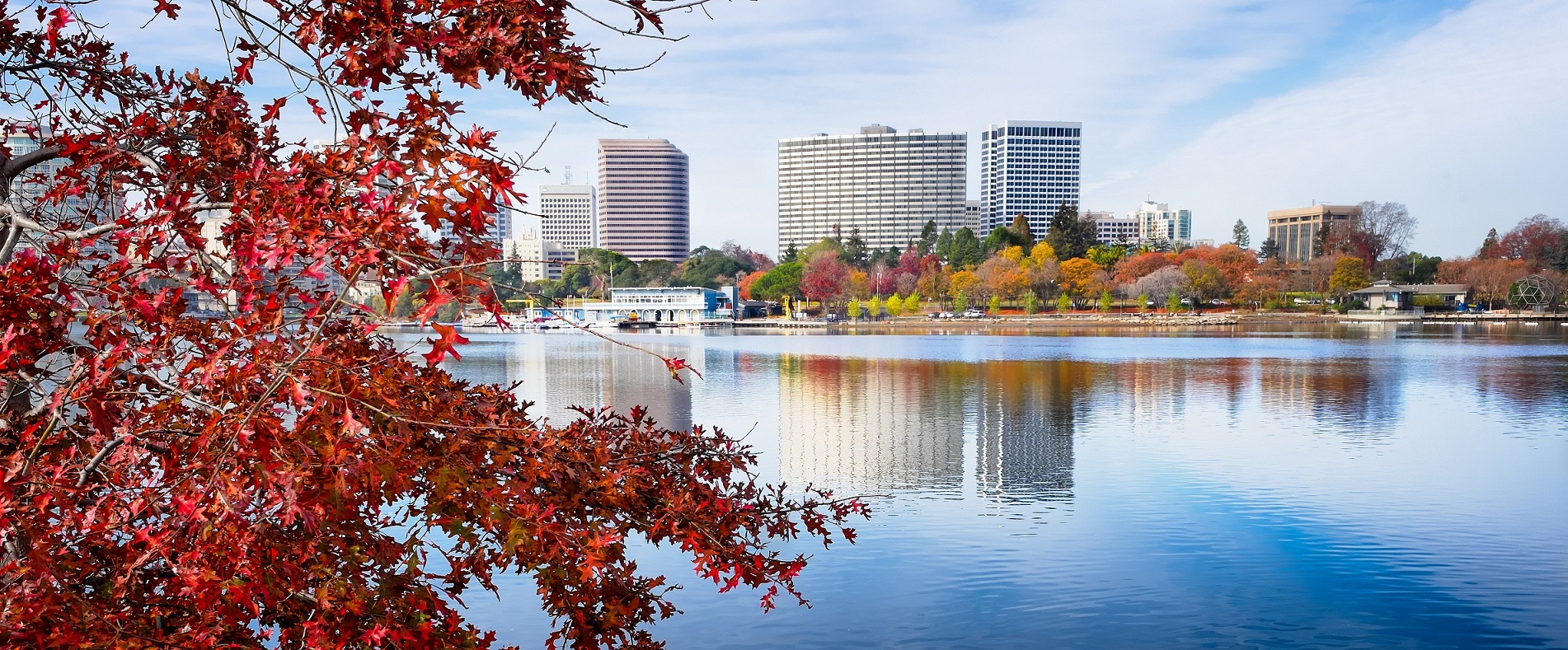 Decorative - Oakland Lake Merrit